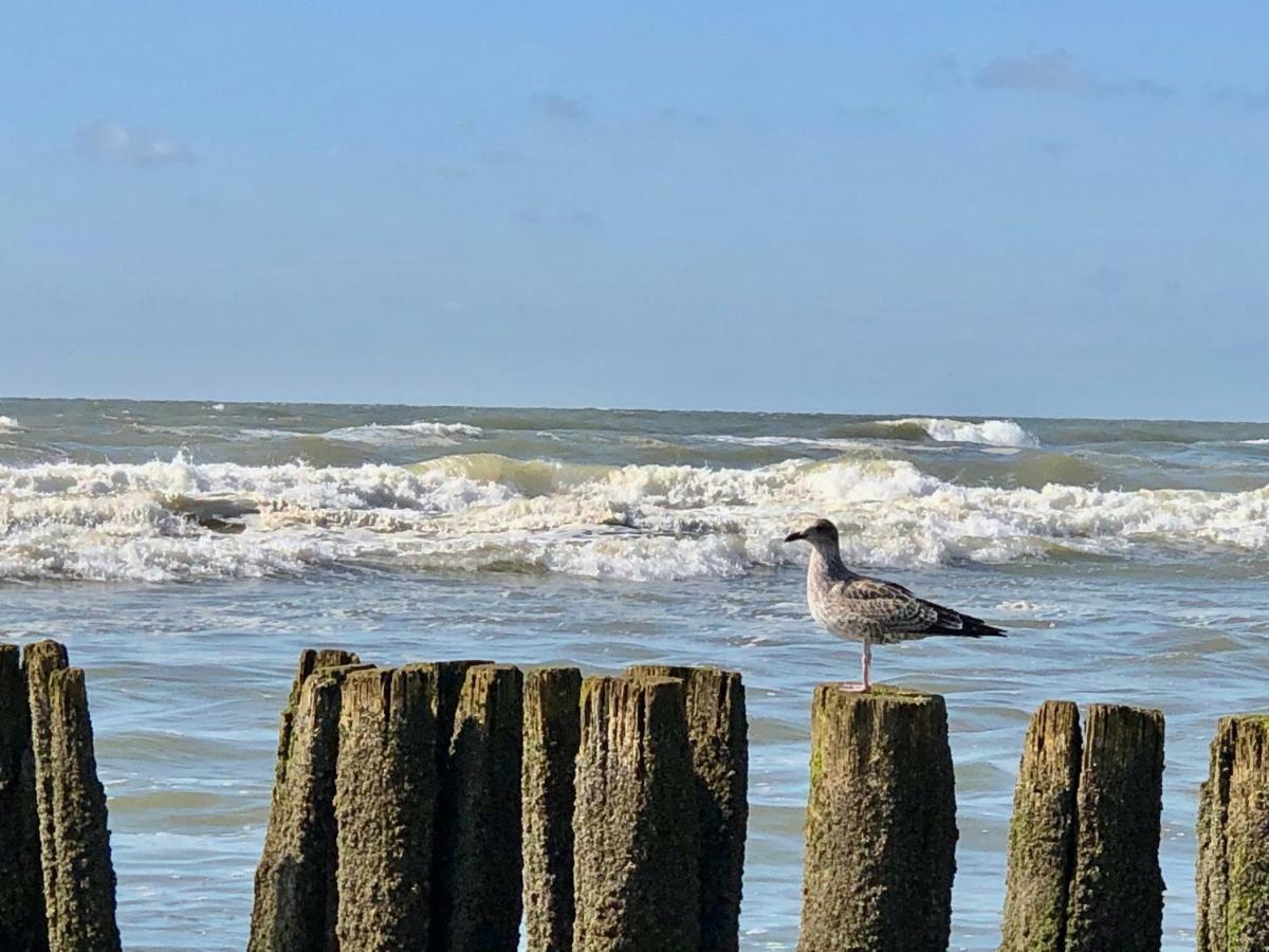 Appartementen De Strandloper Bergen aan Zee Bagian luar foto