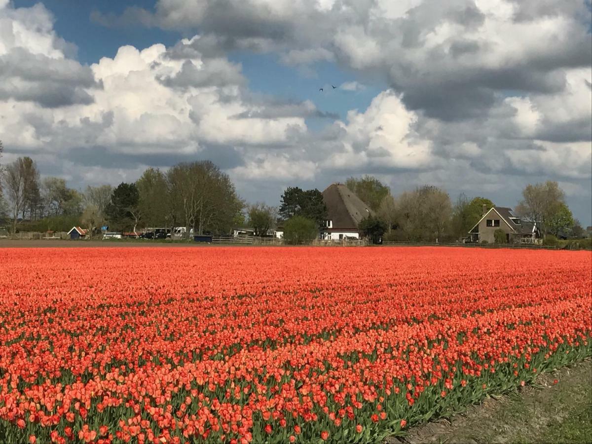 Appartementen De Strandloper Bergen aan Zee Bagian luar foto